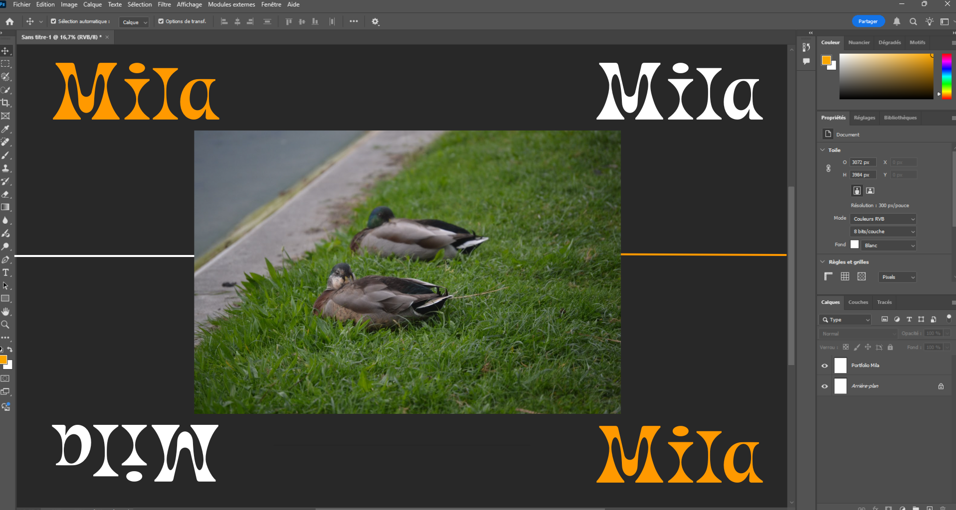 Canards du Marais